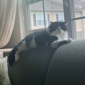 Meet your Posher, Alina